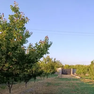باغ سنتو
