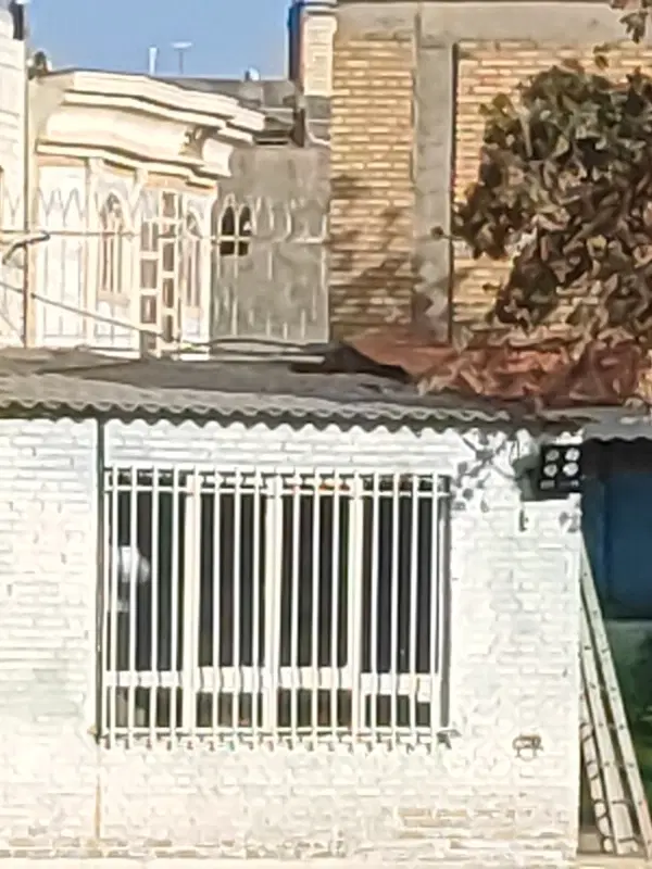 مزایده بوفه
