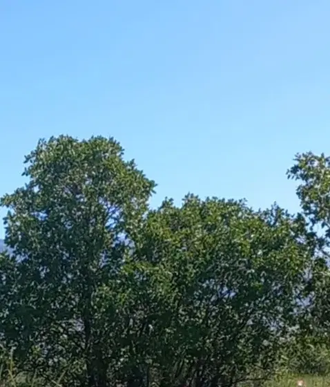 زمین بر جاده خرم اباد الشتر ، ۱۰۰۰ متر ، بهرامجو