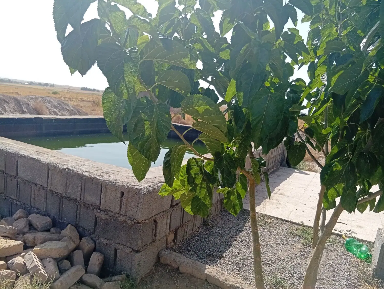 باغچه پونصد متری به آباد پنج کیلومتر قبل گلبهار