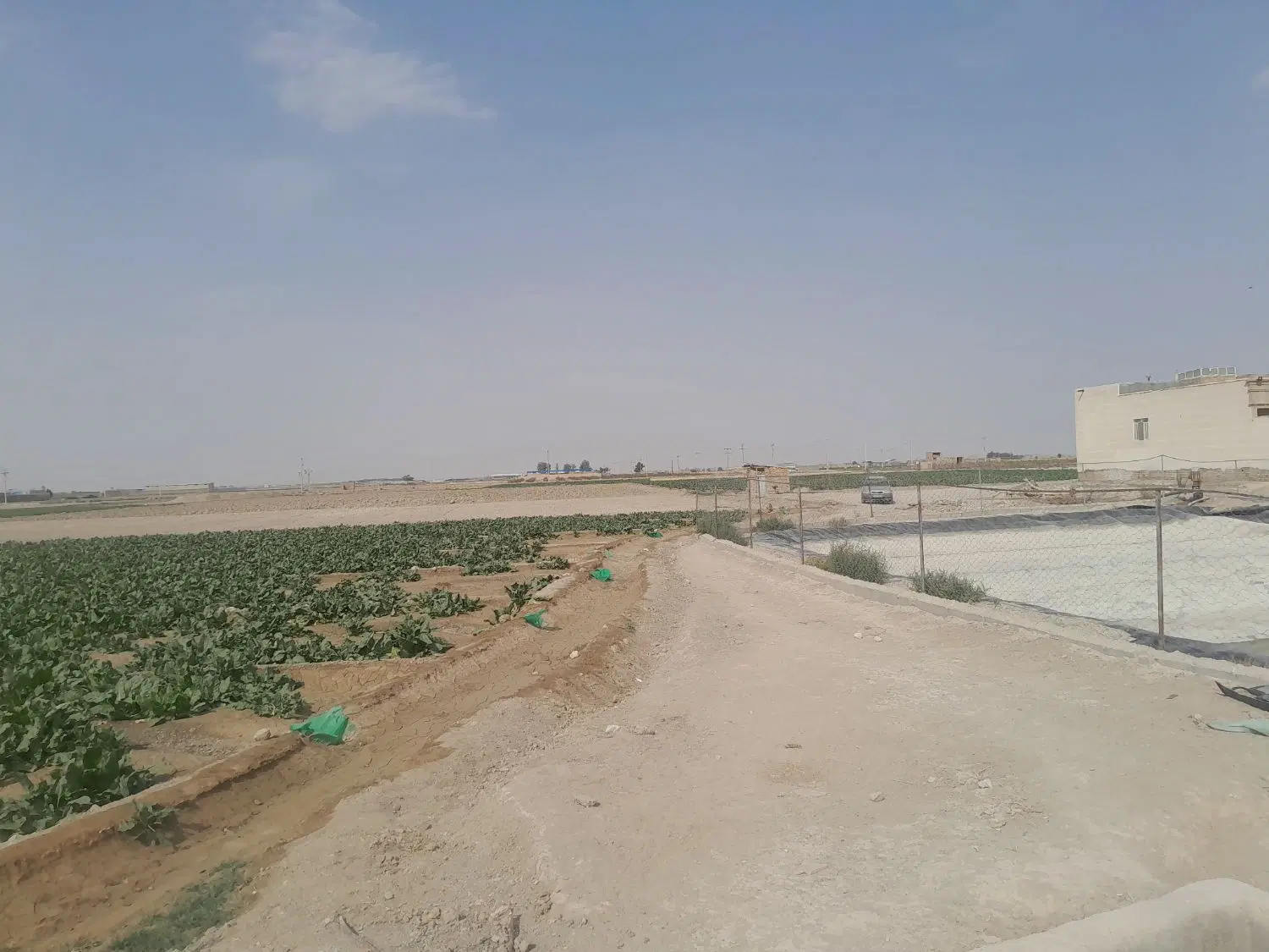 زمین کشاورزی