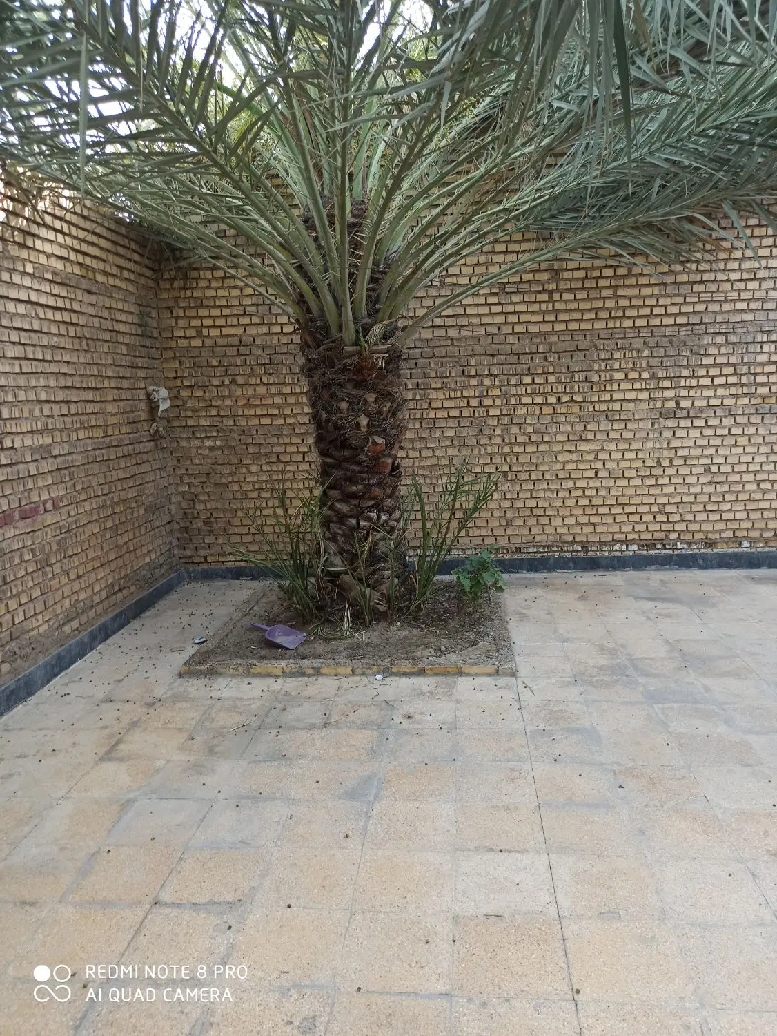 فروش منزل
