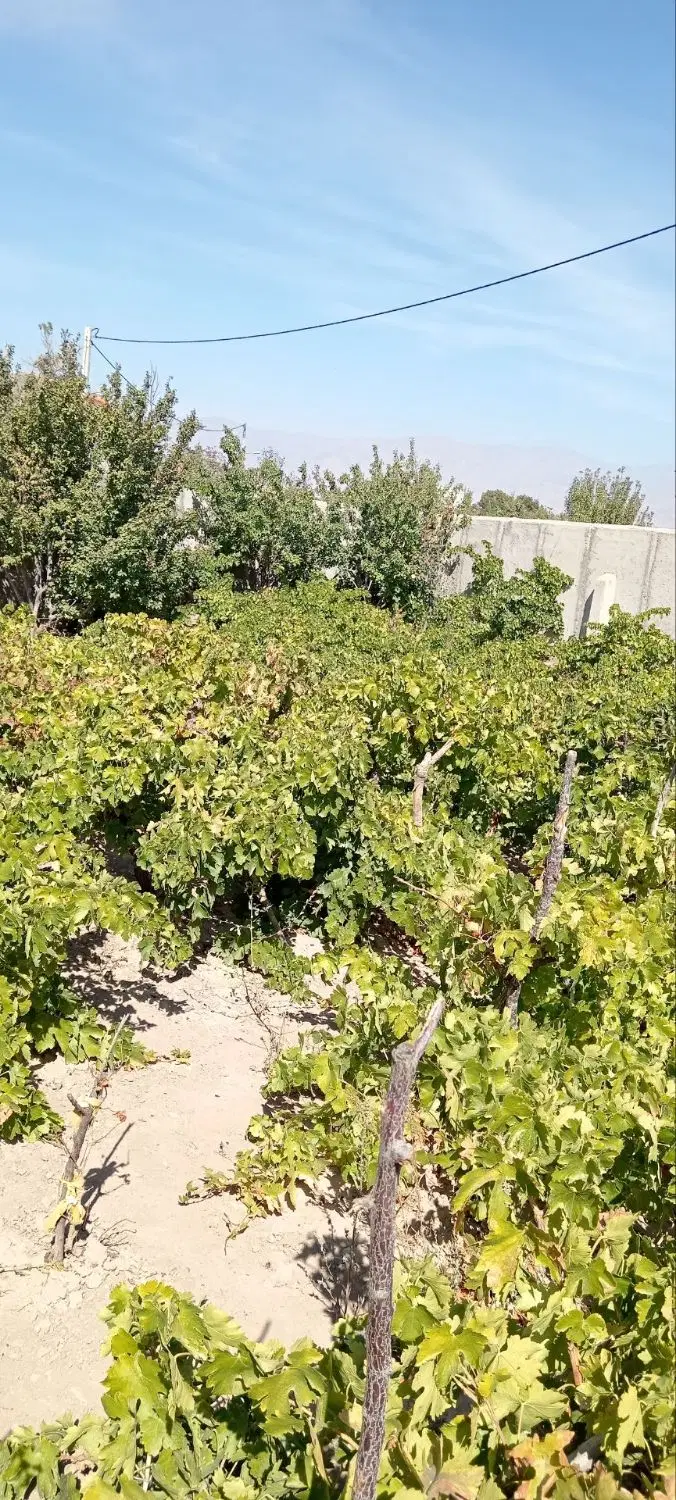 اب چاه عمیق روستای جیلو