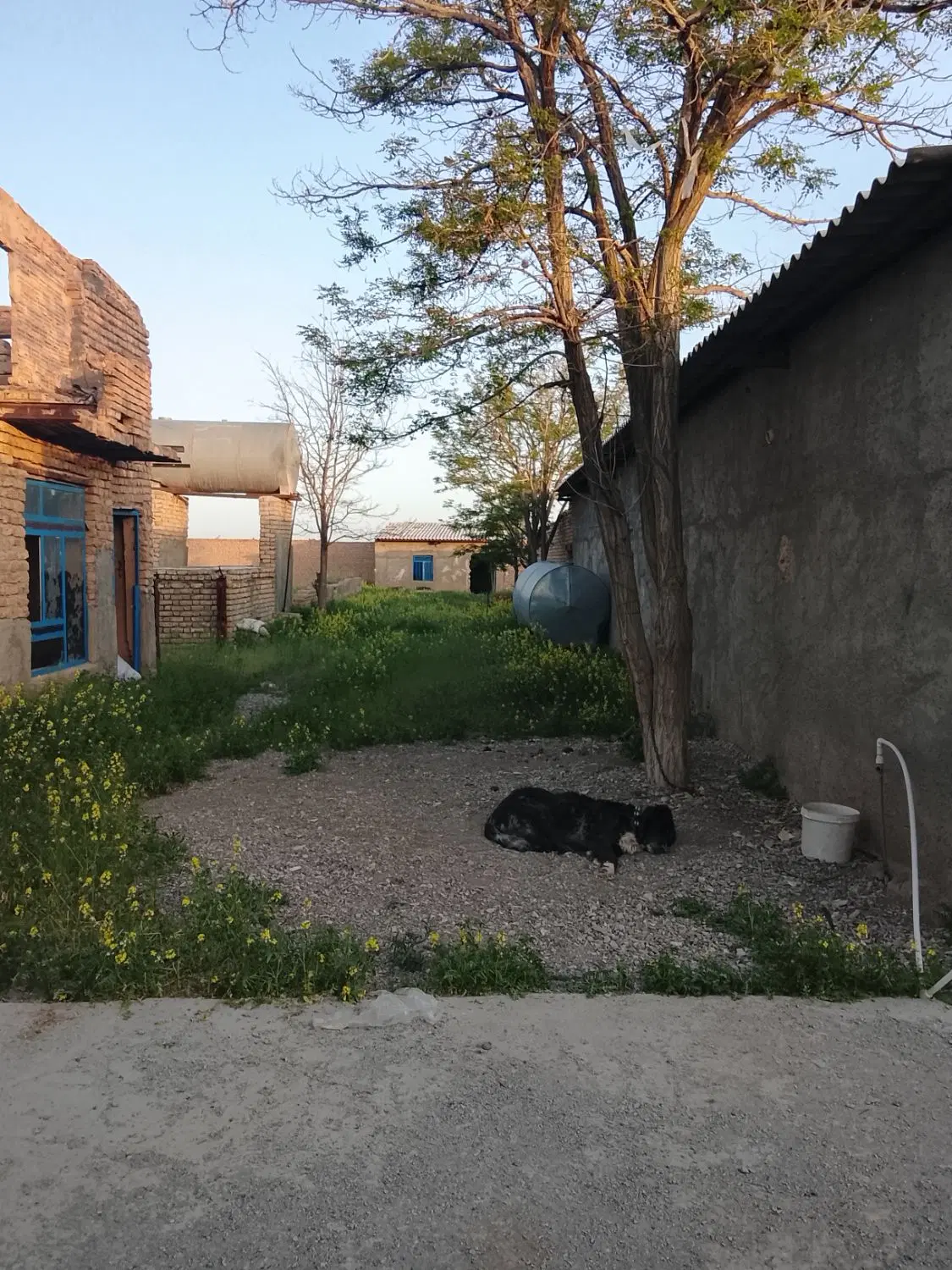 سالن برای اجاره