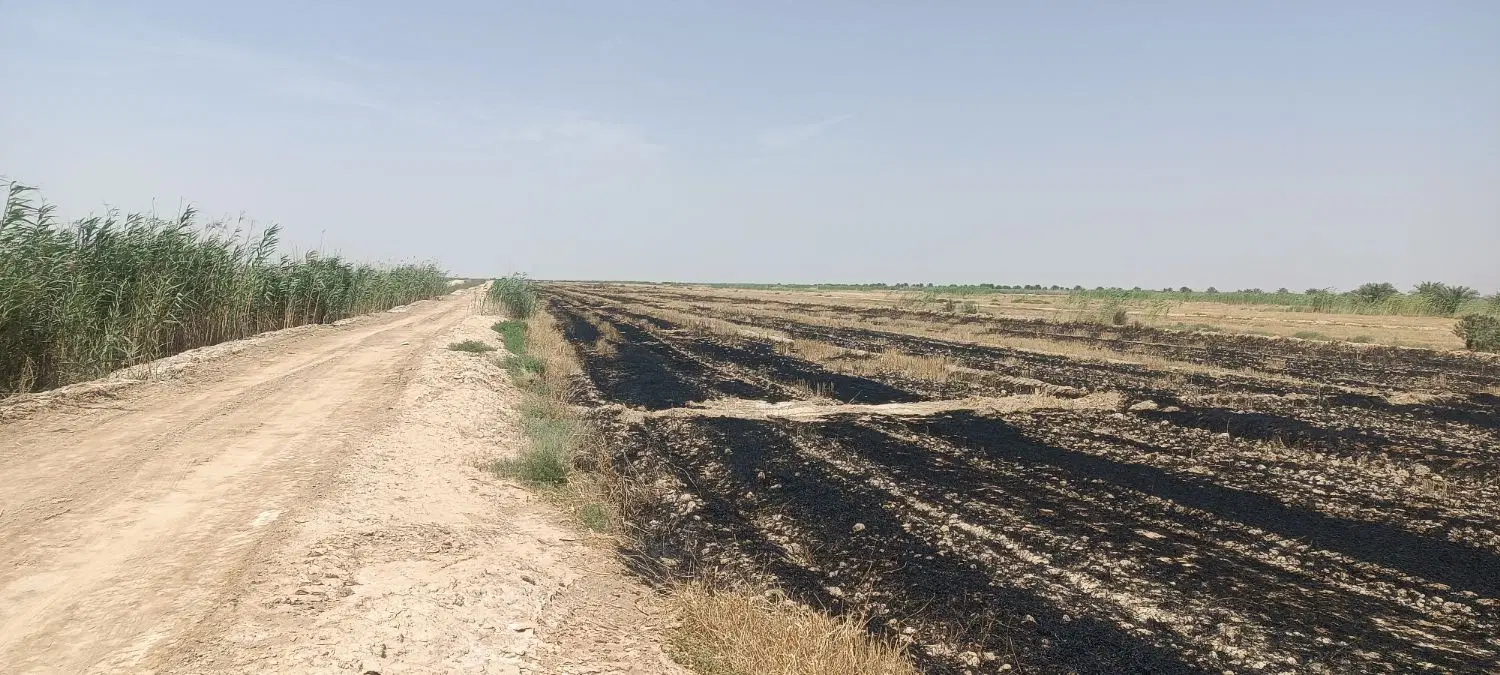 13هکتار زمین جفت زیرکش برای اجاره تمیز وزمین عالی