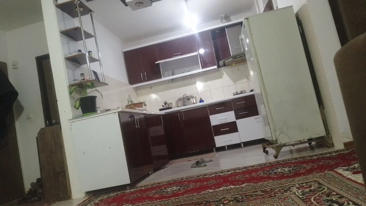 همخونه