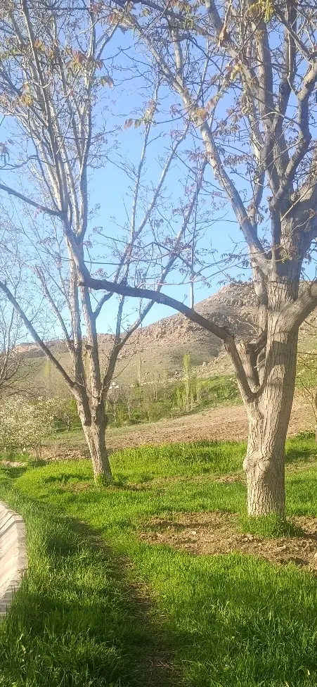 باغ.۵۵۰مترکنار رودخانه ، بعد از دو راهی پیغو