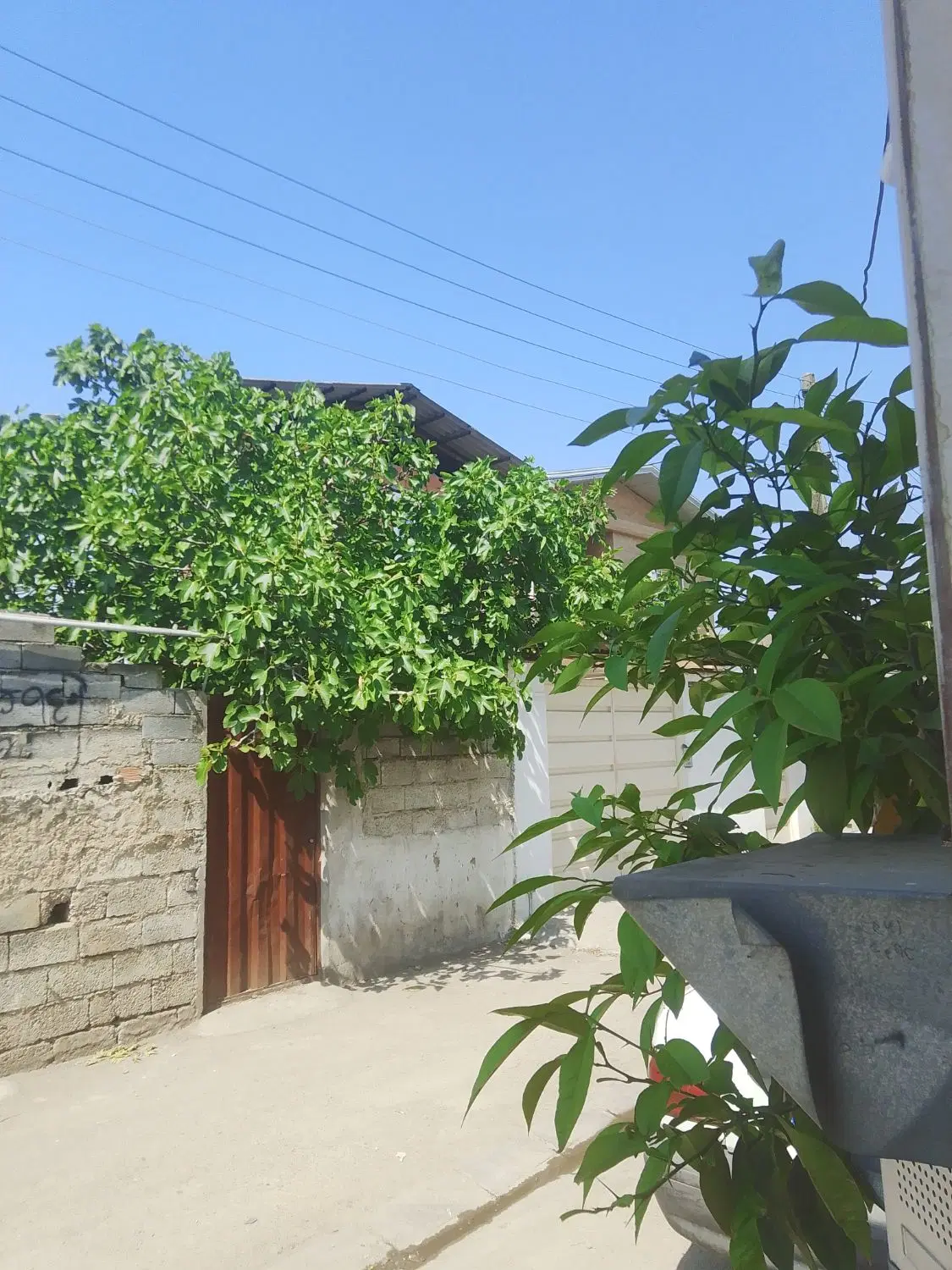 آپارتمان بهنمیر کوچه پنج شنبه بازار