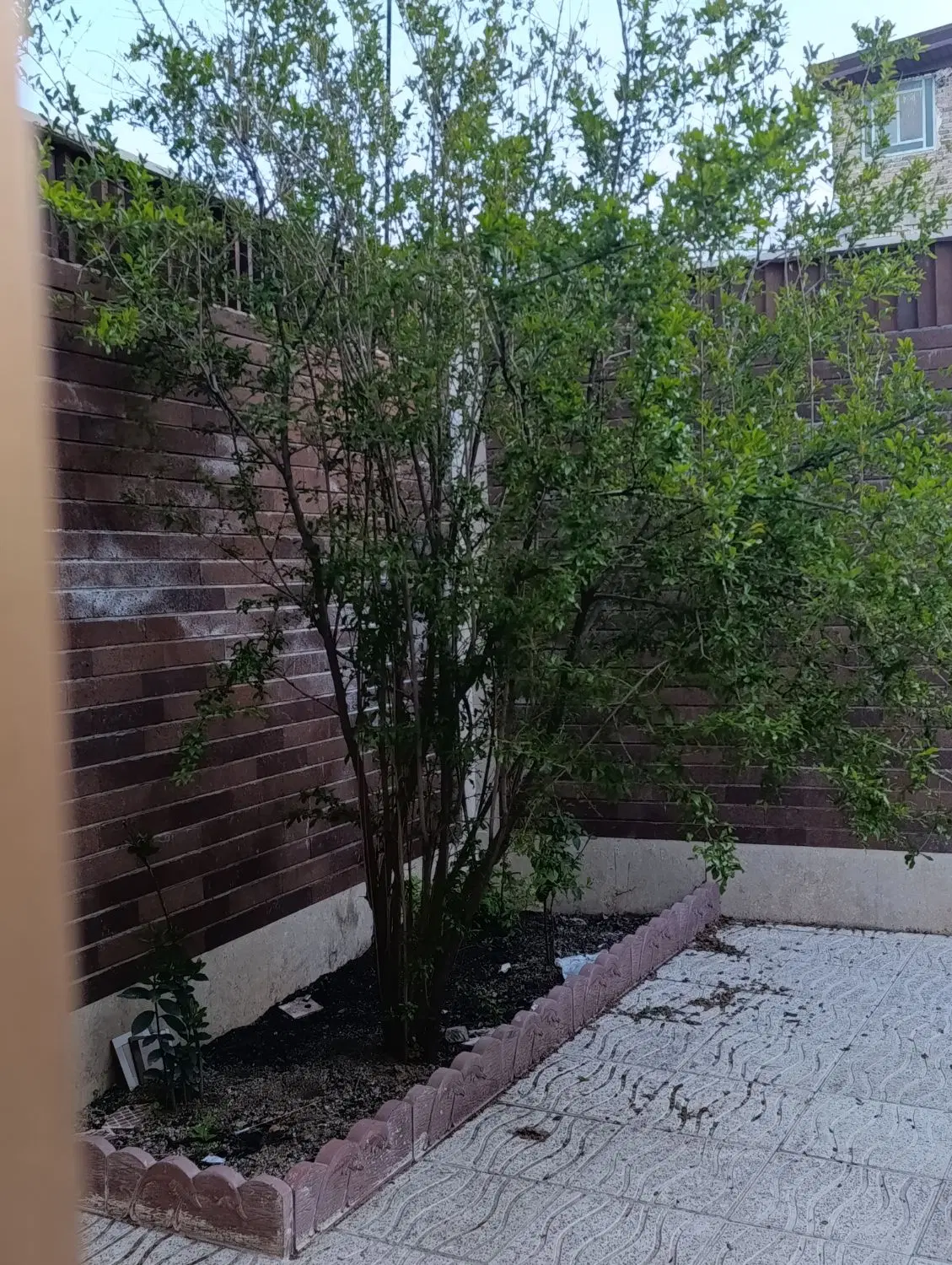 ۴۲۰ متر زمین مسکونی