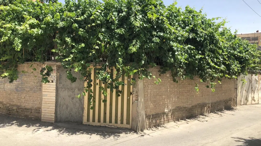 کلنگی