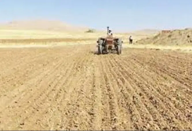 زمین کشاورزی