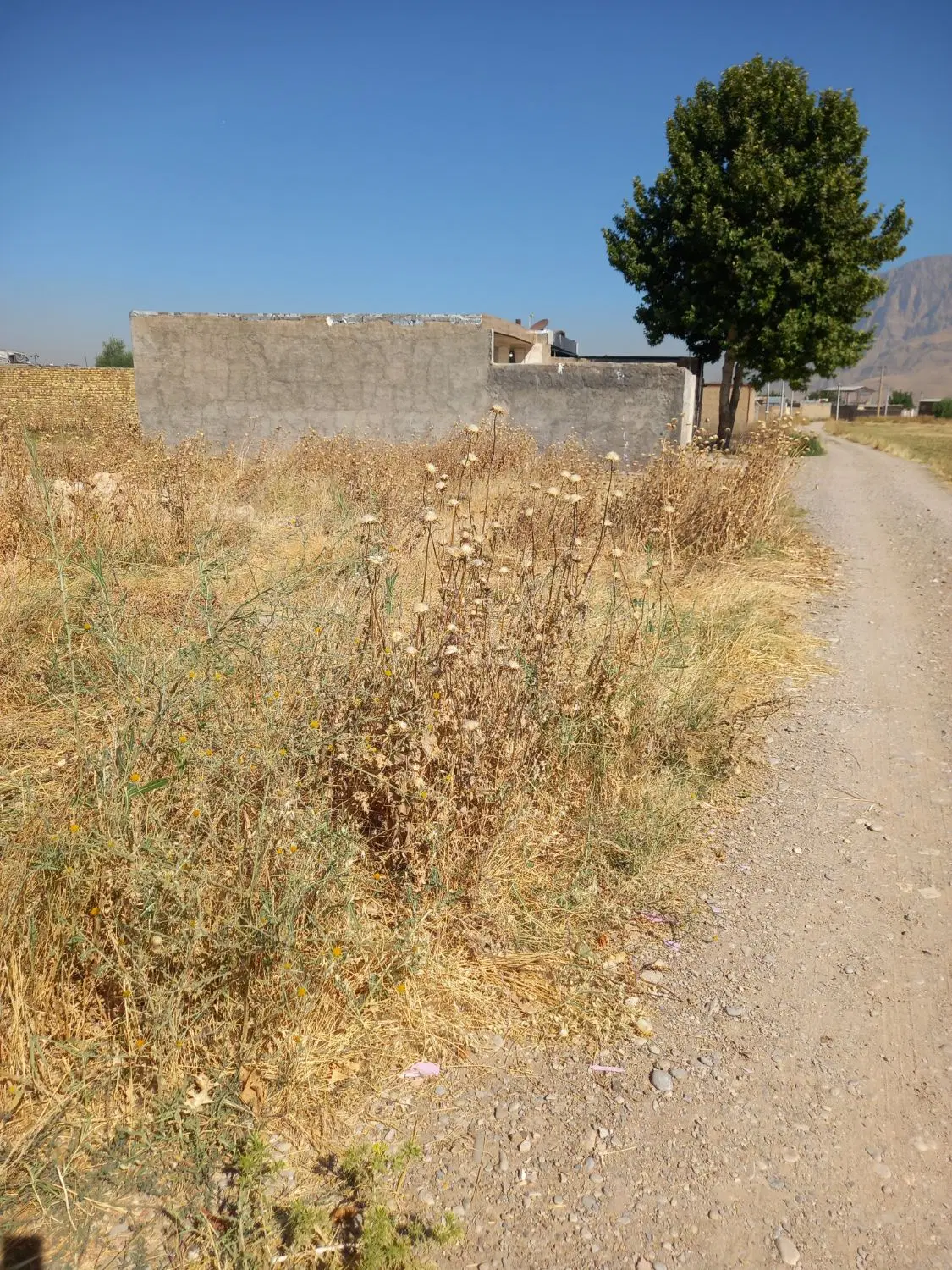 زمین مسکونی صدمتر دست بزانو