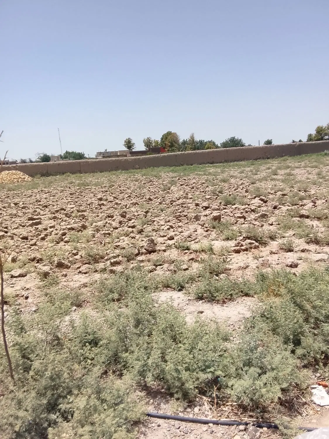 زمین کشاورزی بااب موتور