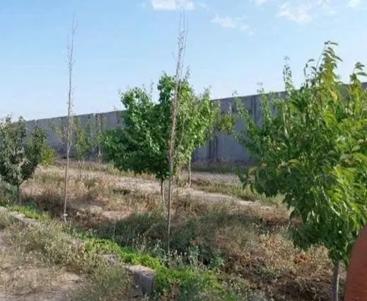 قطعه زمین ویلایی صفادشت خیابان پنجم شرقی ۱۰۰۰ متری