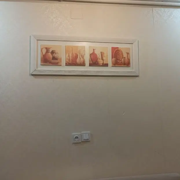 همخونه خانم