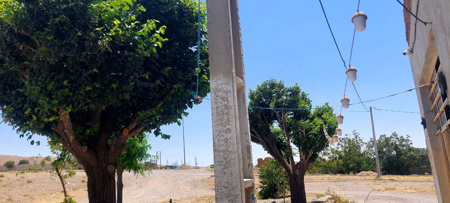 ملک تجاری و نانوایی