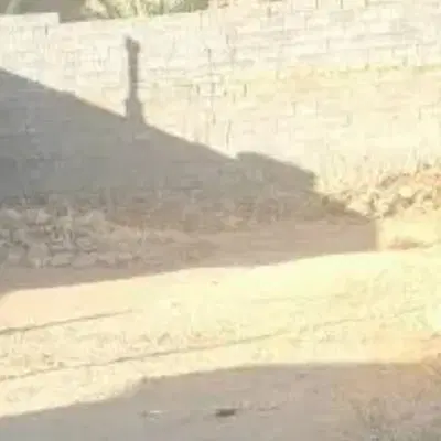 زمین مناسب انباری