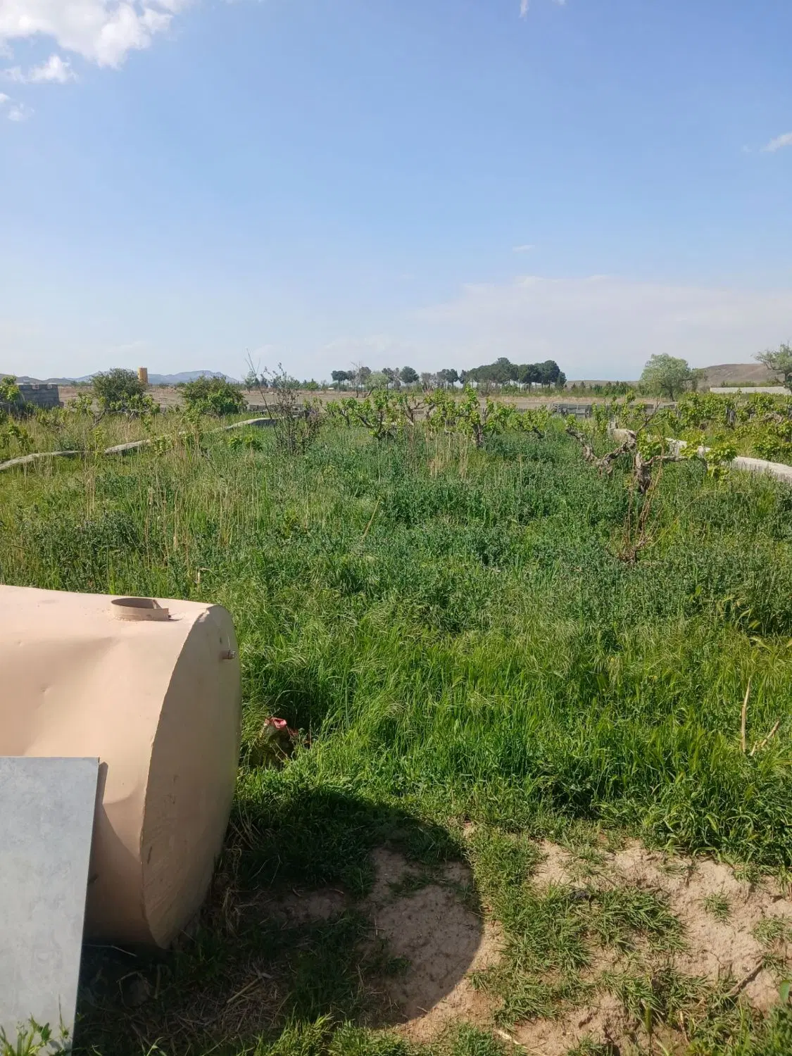 باغچه فروشی