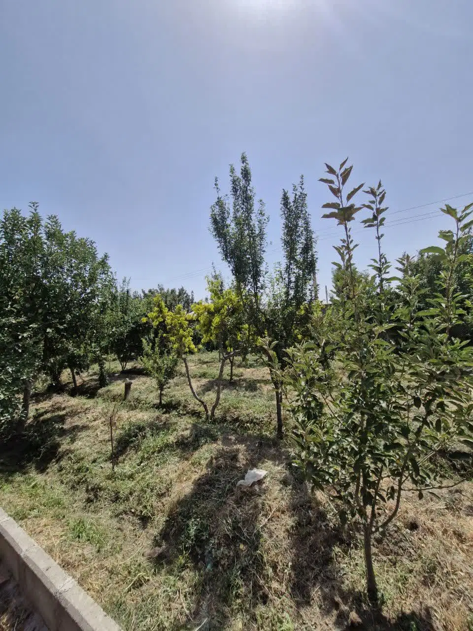 باغ ویلا ۱۸۵۰متر کاسبی سهیلیه کردان زعفرانیه