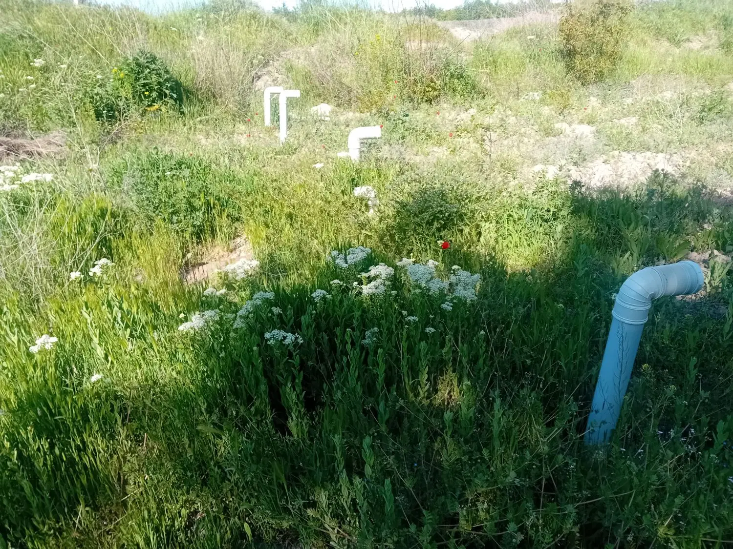 سلام  باغچه ۷۰۰متر درجاده مهاباد میرشکارلو