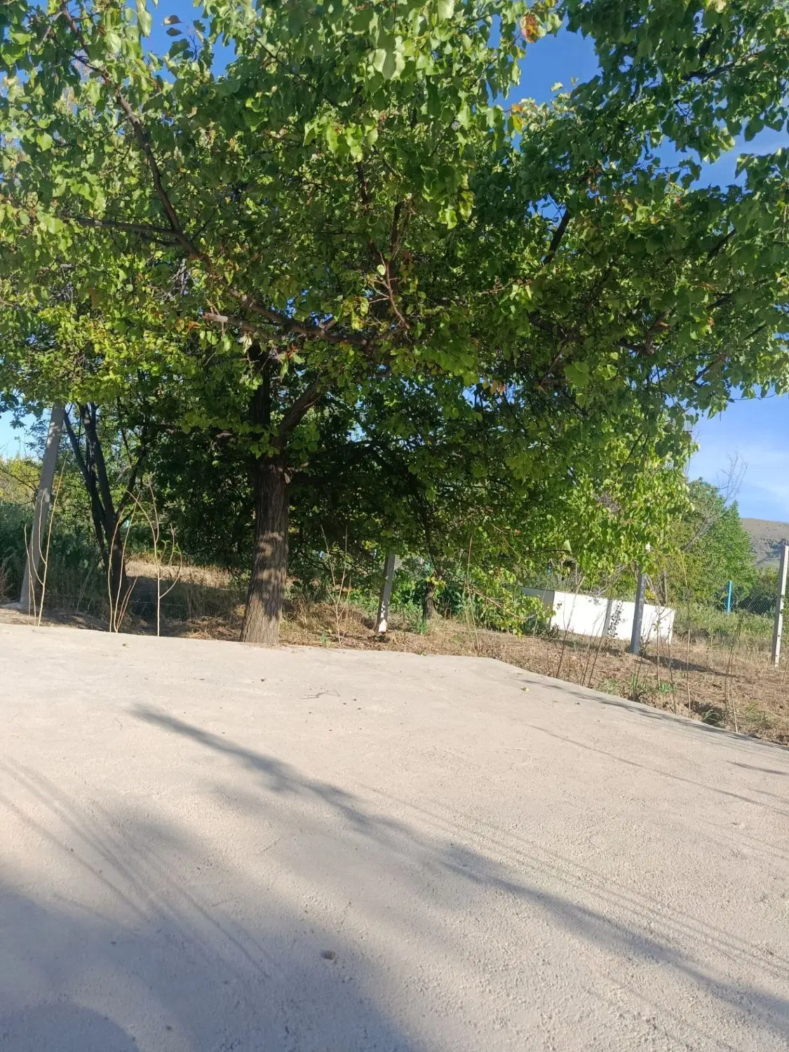 باغچه سند دار