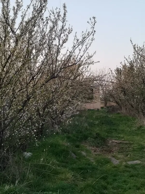 ویلا باغ جاده سنتو