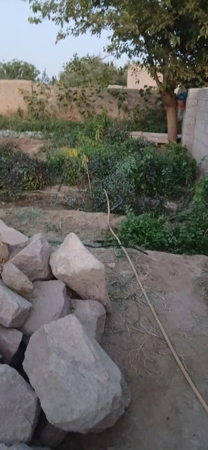 زمین روستایی