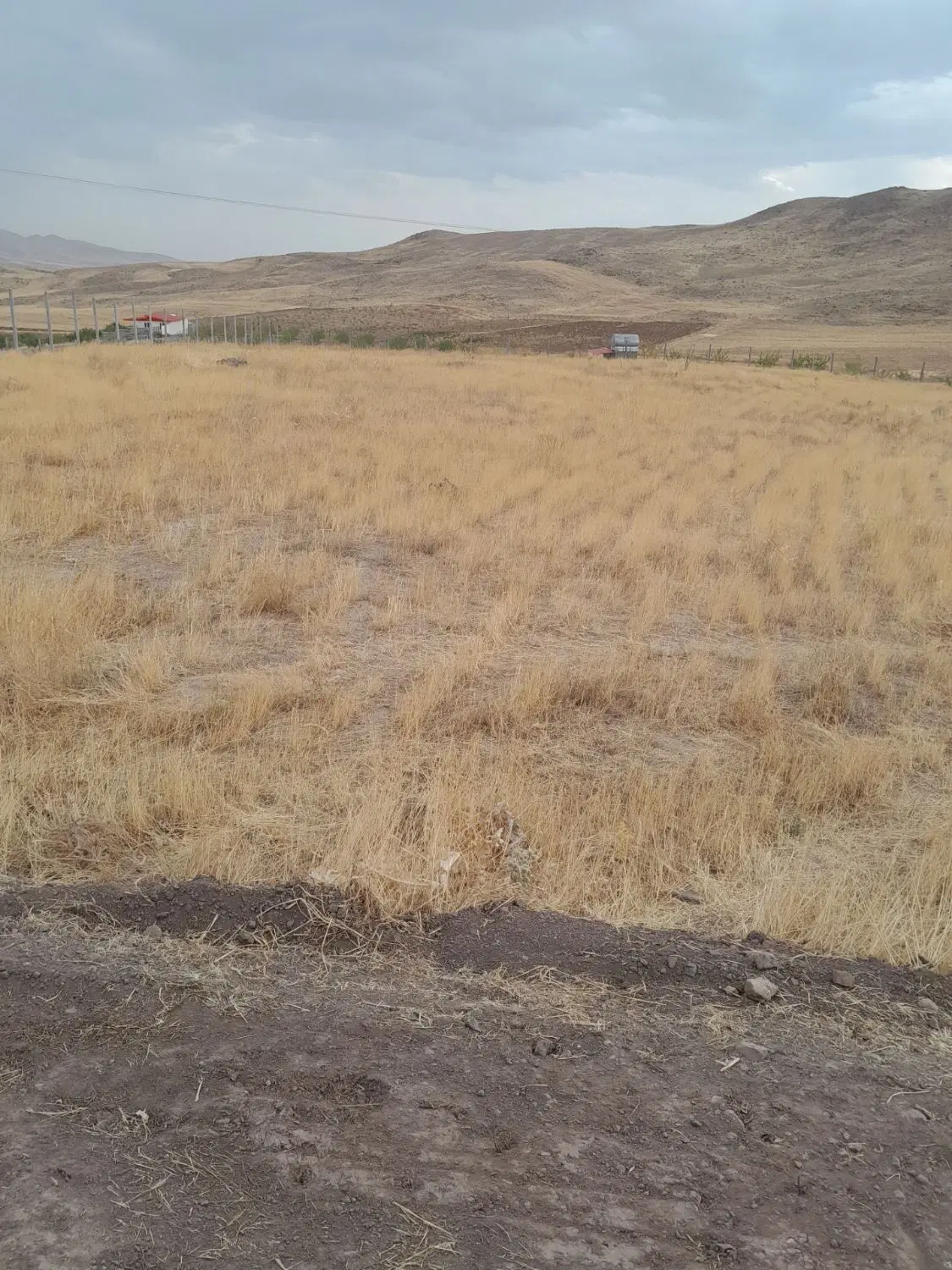 زمین کشاورزی
