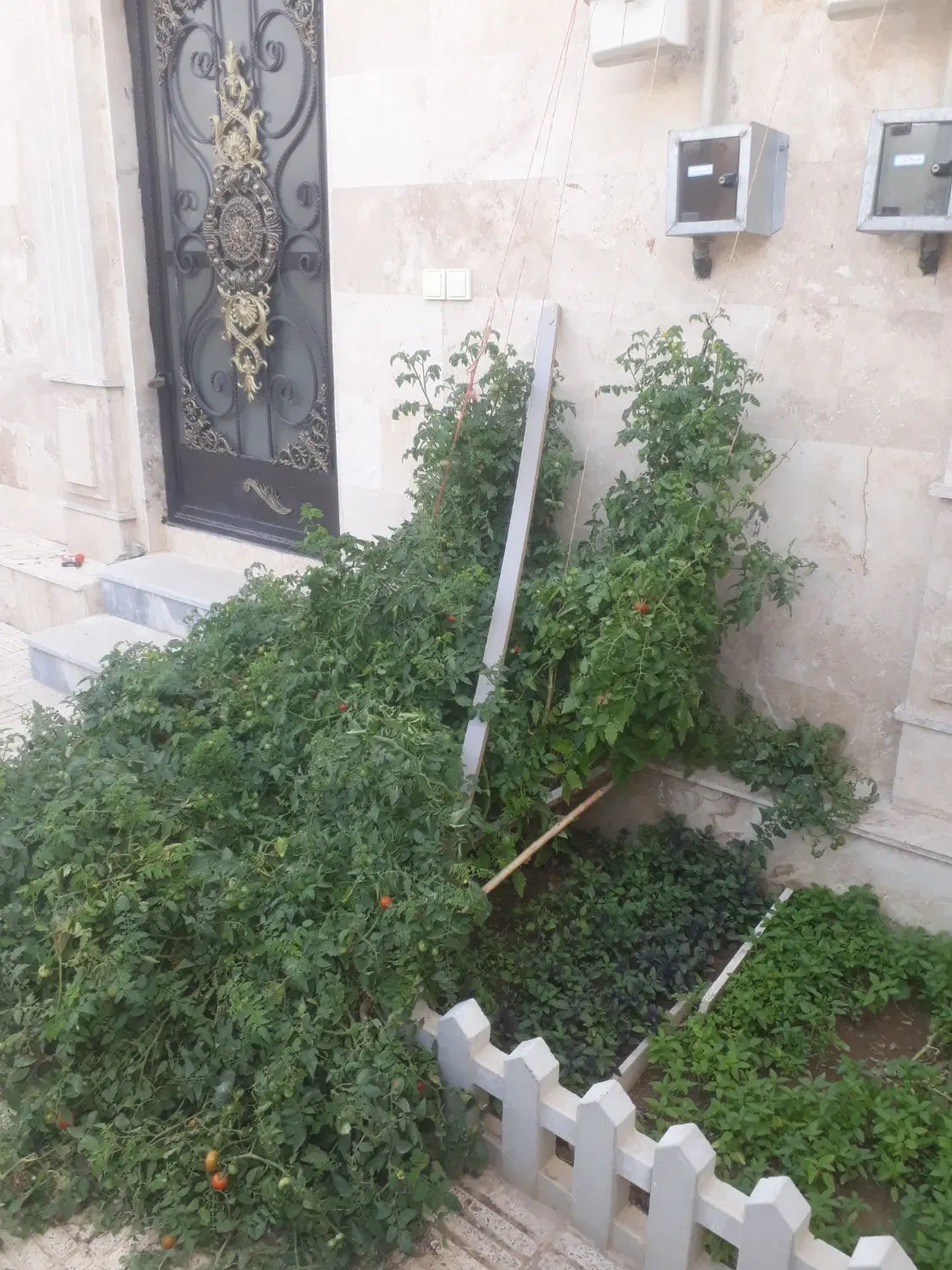 فروش و معاوضه خانه ویلایی ،روستایی