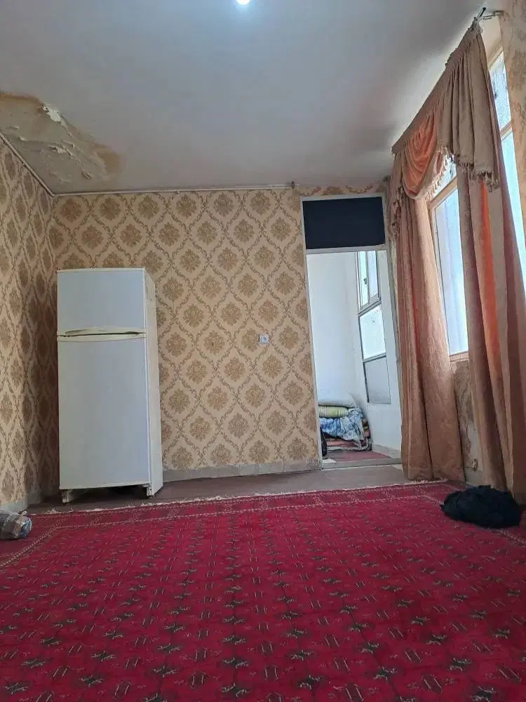 پسرم همخونه میشم