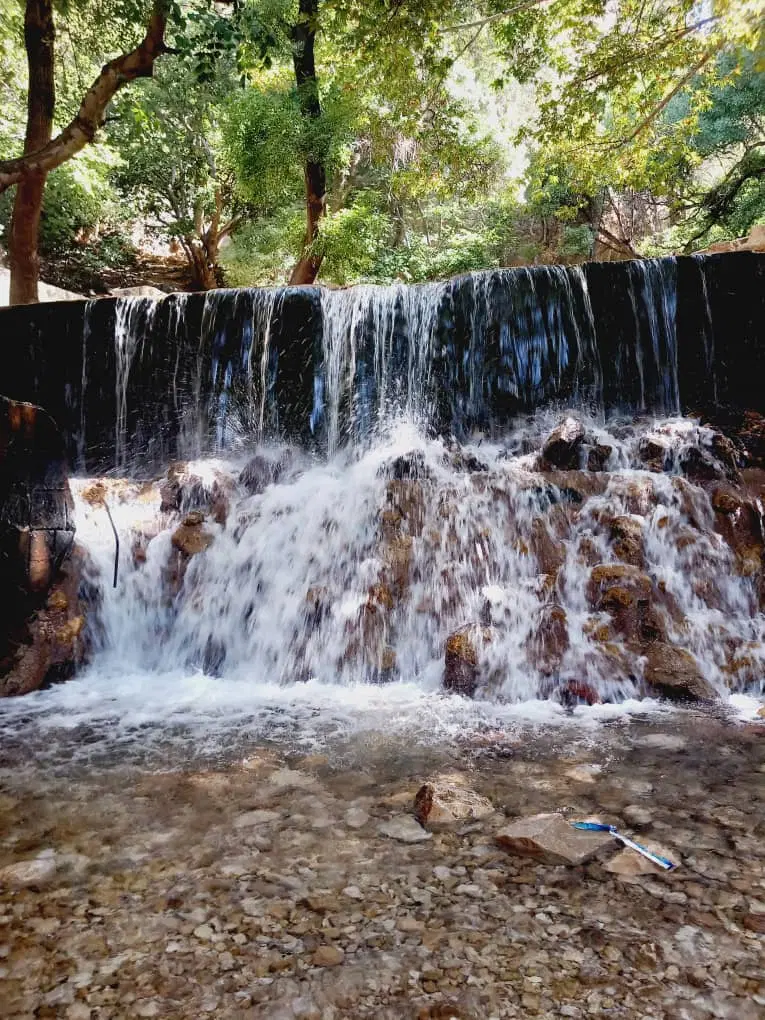 زمین درشادگان
