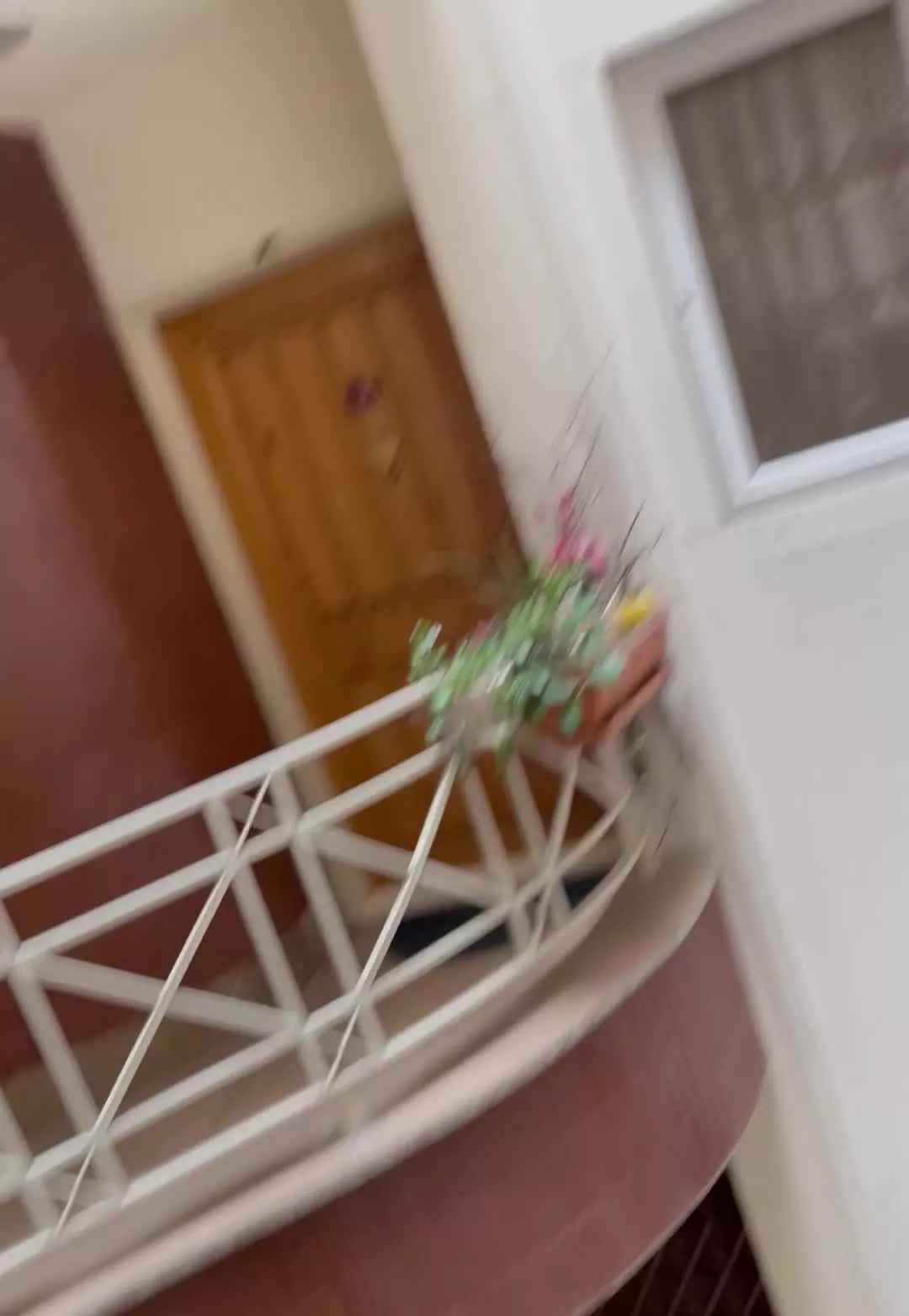 ۸۸ متر درختی بینظیر
