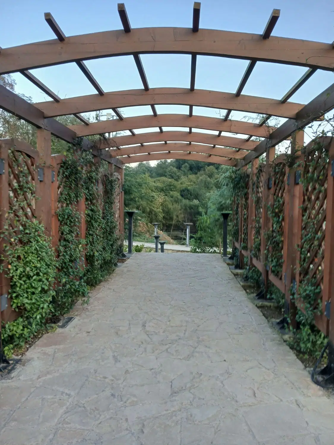 زمین باغی