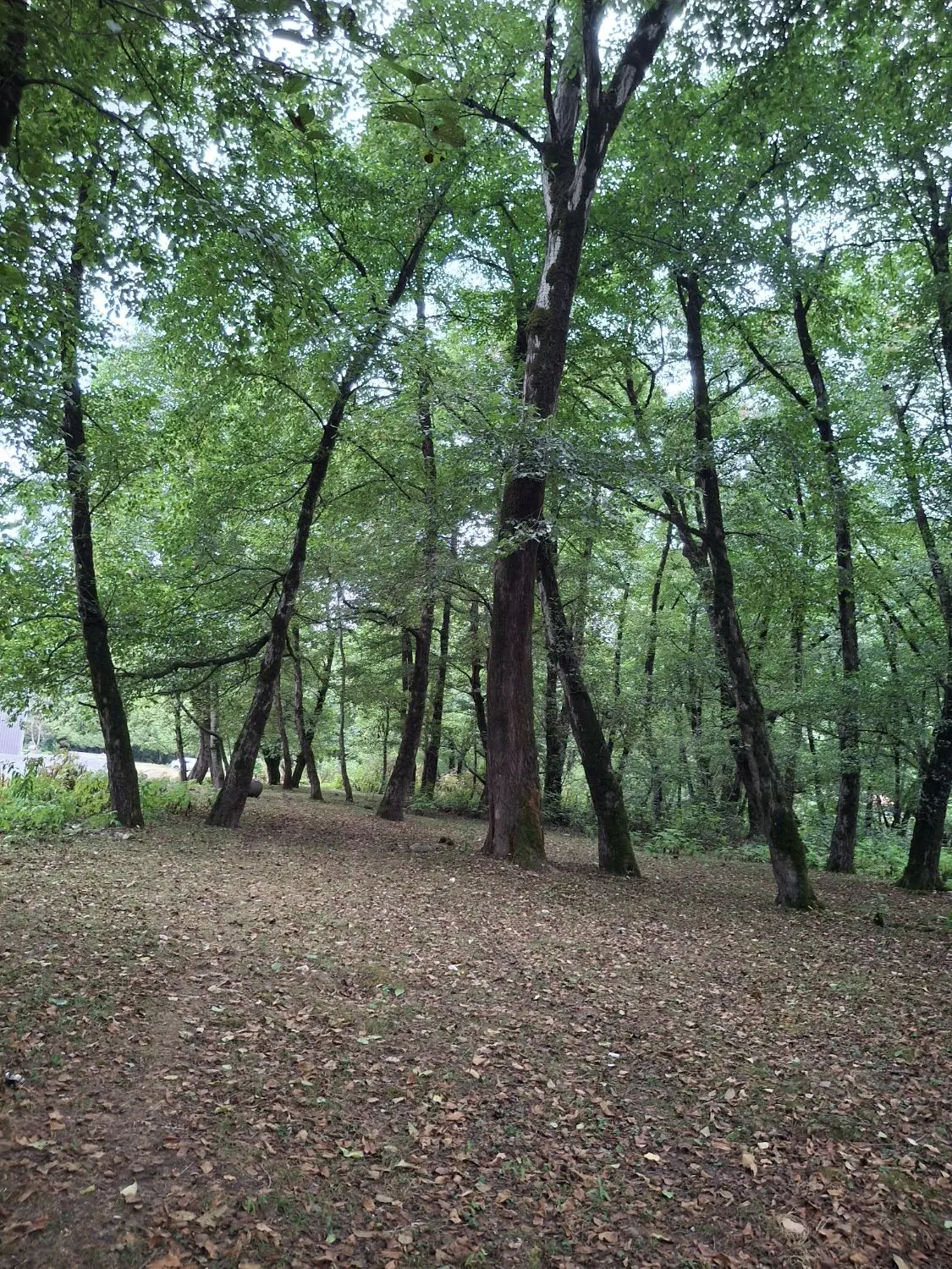 سرمایه‌گذاری