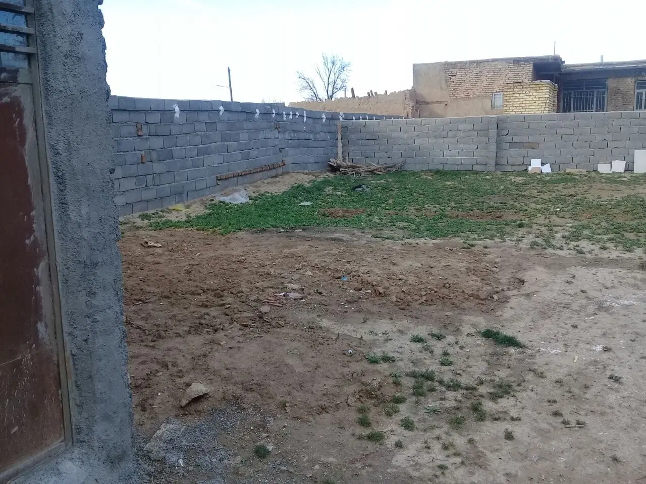 دامداری