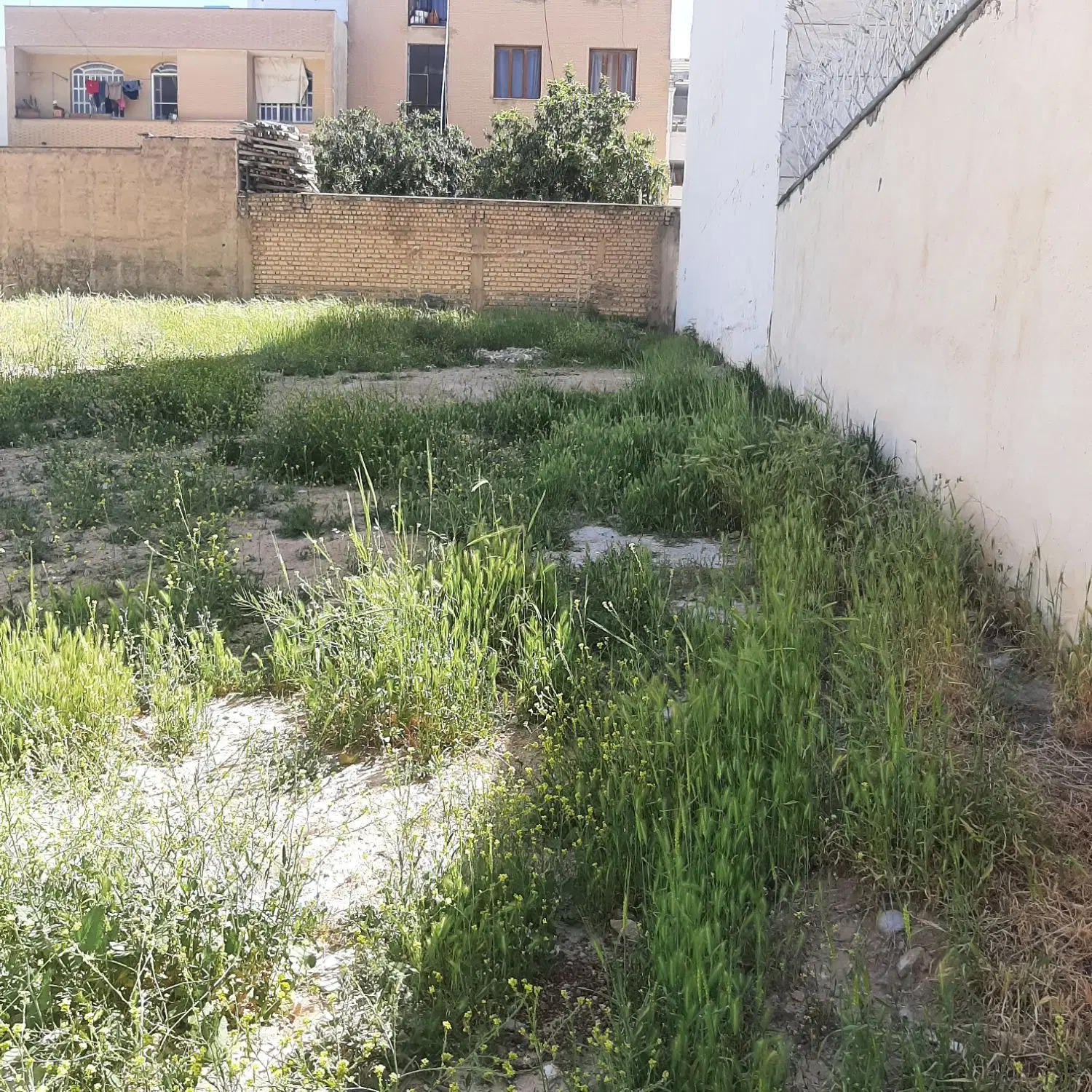 زمین شهرک  آرین