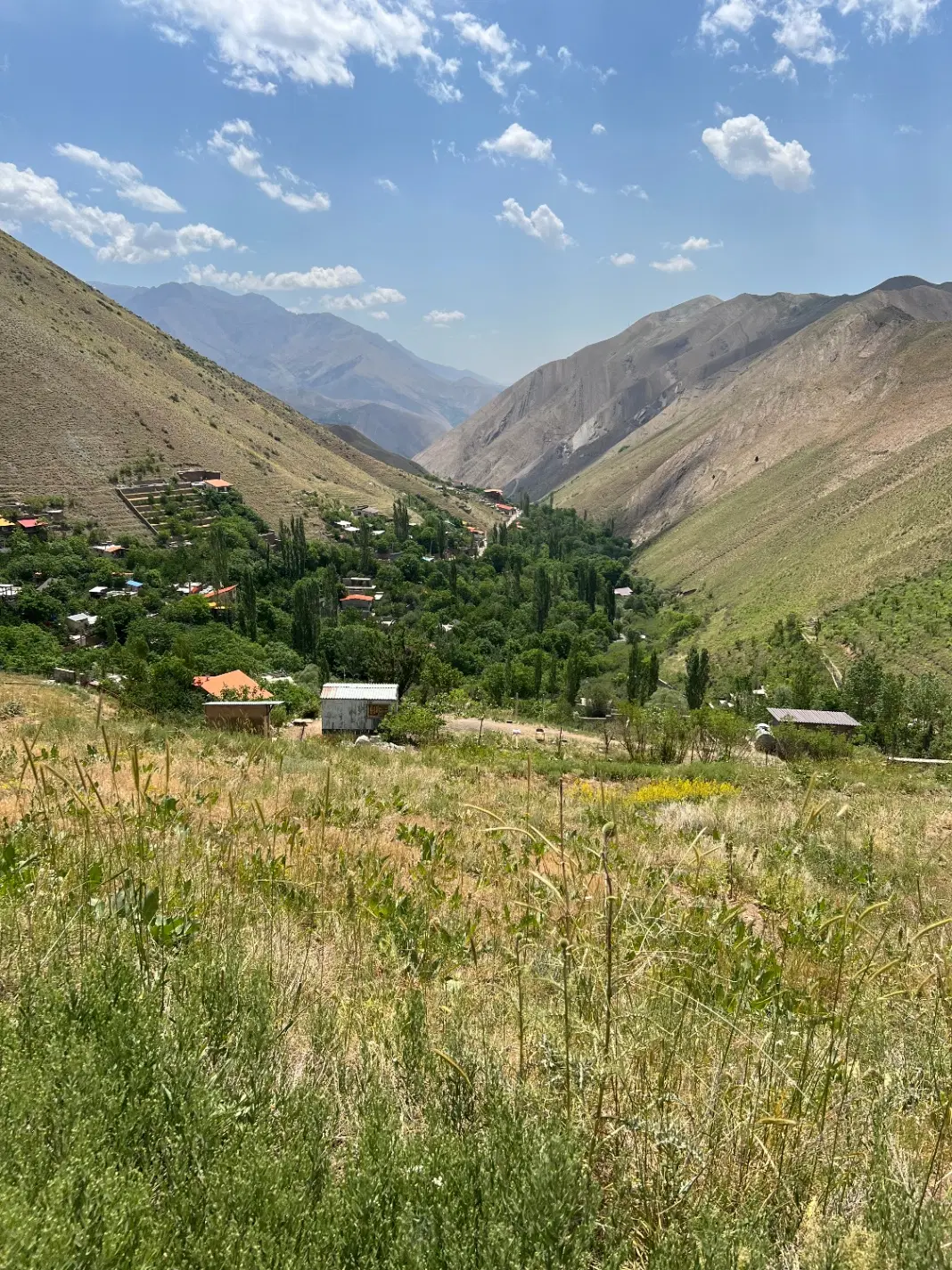 زمین میگون