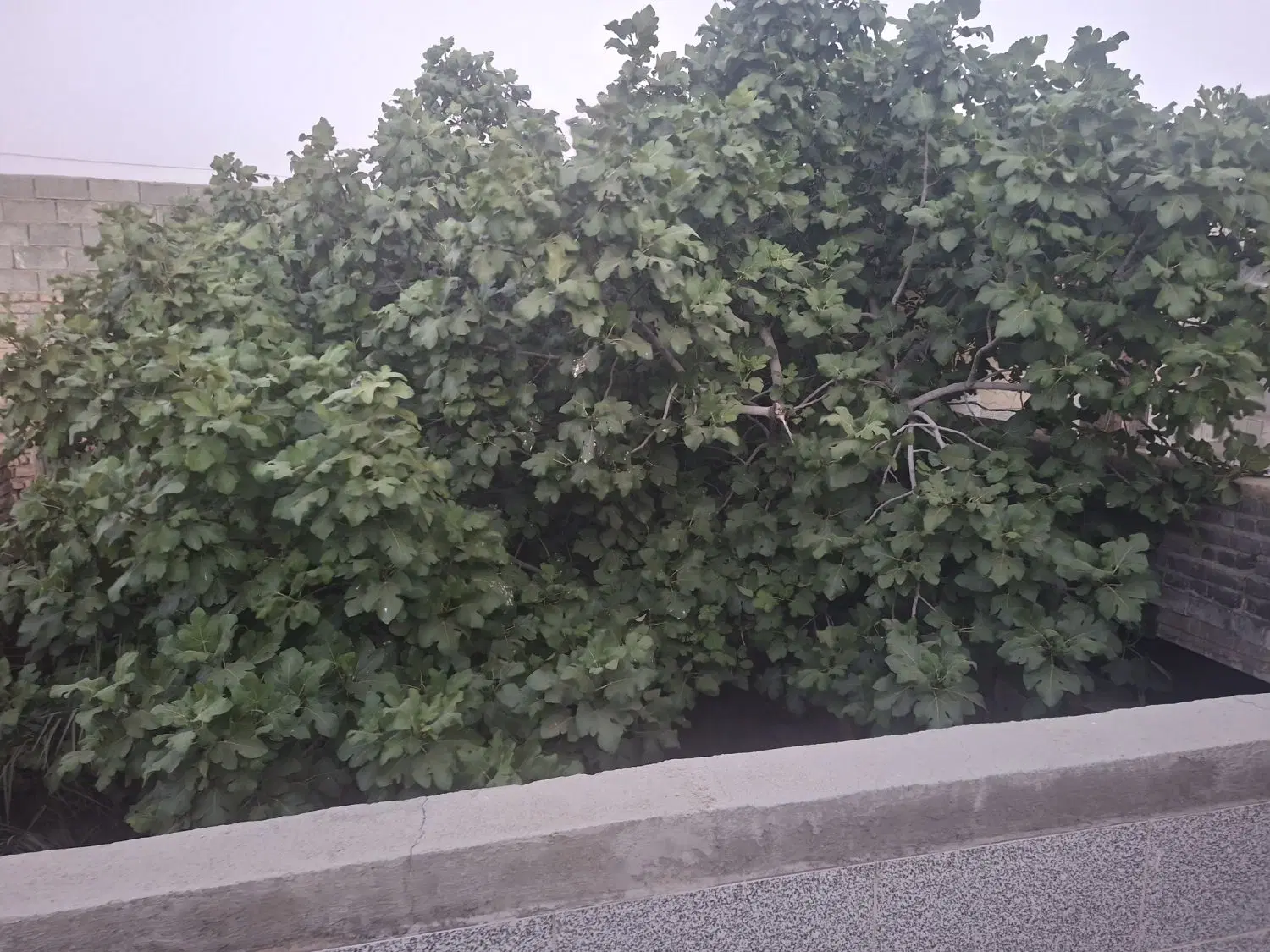 فروش منزل دو طبقه ۳۲۰ متری .سرتل .ارمغان ۲