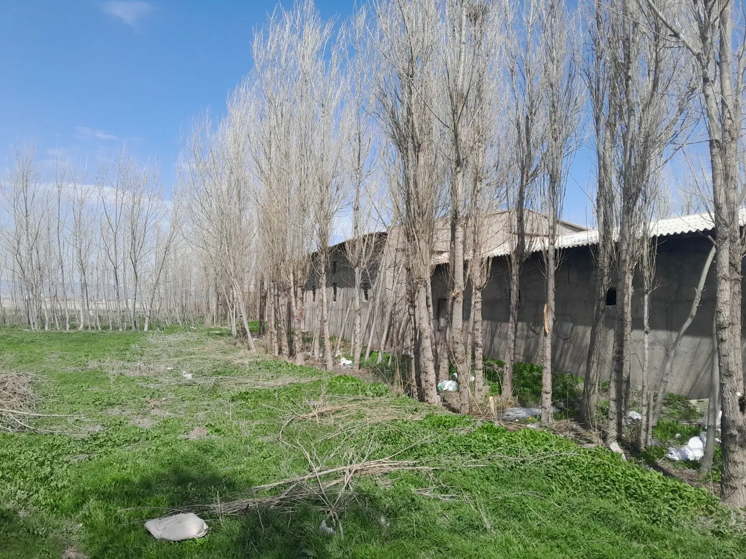 اجاره سالن