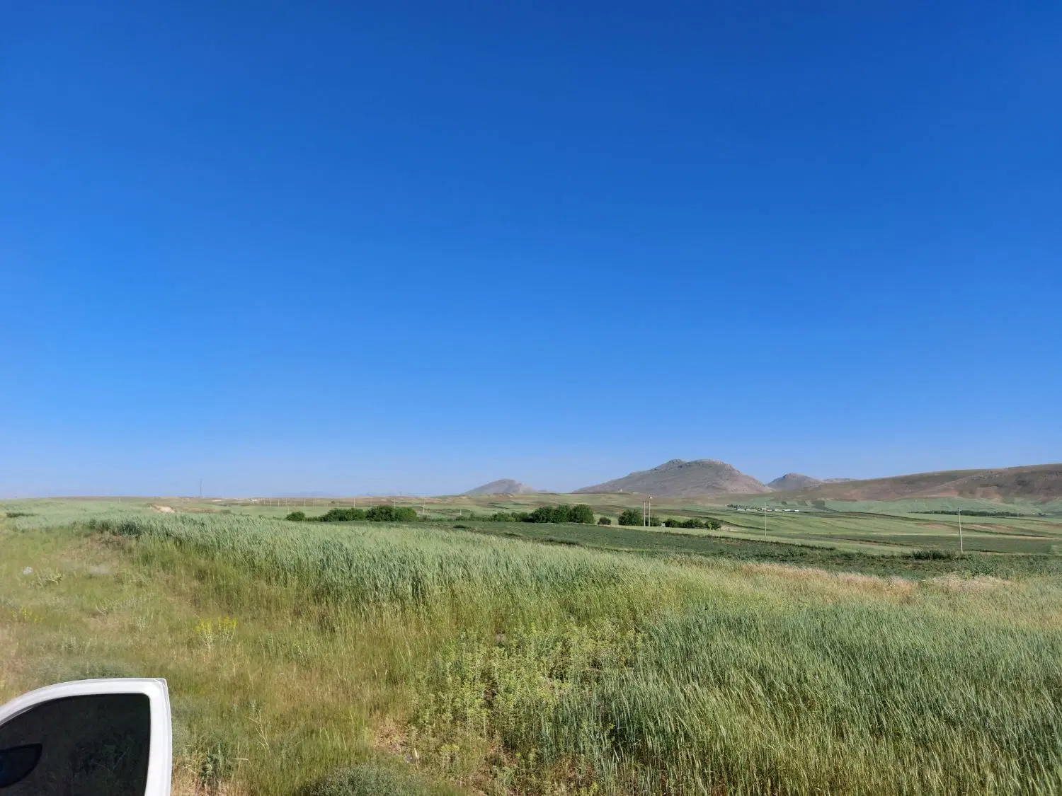 فروش باغ