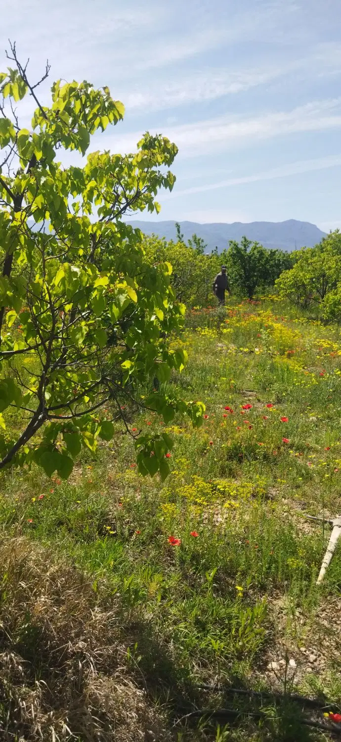 فروش خانه باغ ورودی میدان جلفا روستای سیلگرد