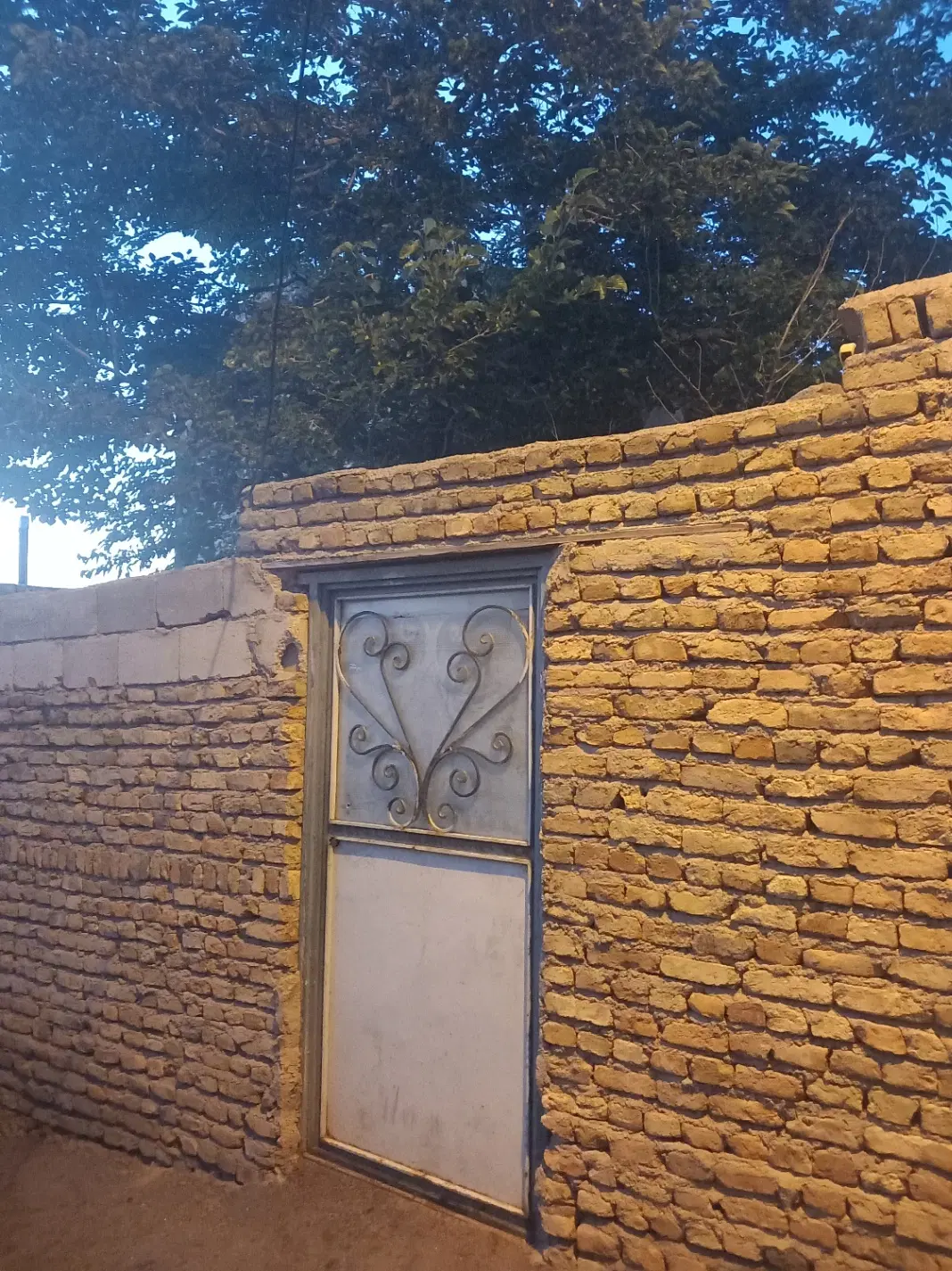 حیاط  در احمدآباد
