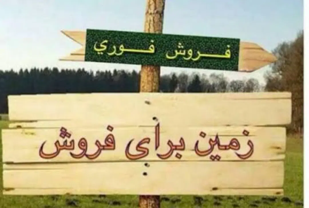 زمین لب بلوار