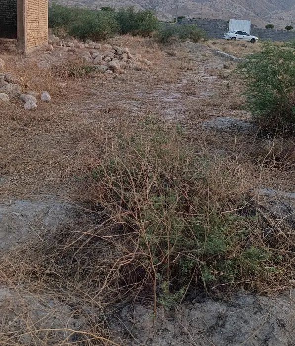 زمین
