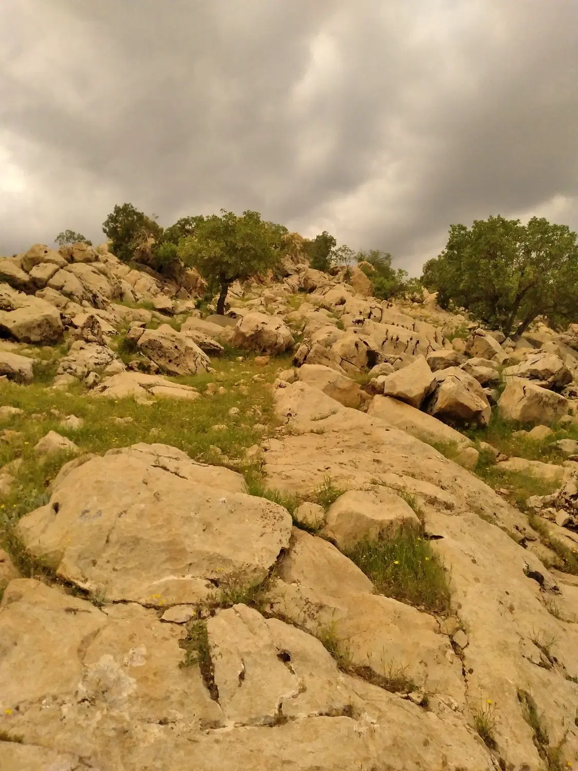 زمین ساختمانی