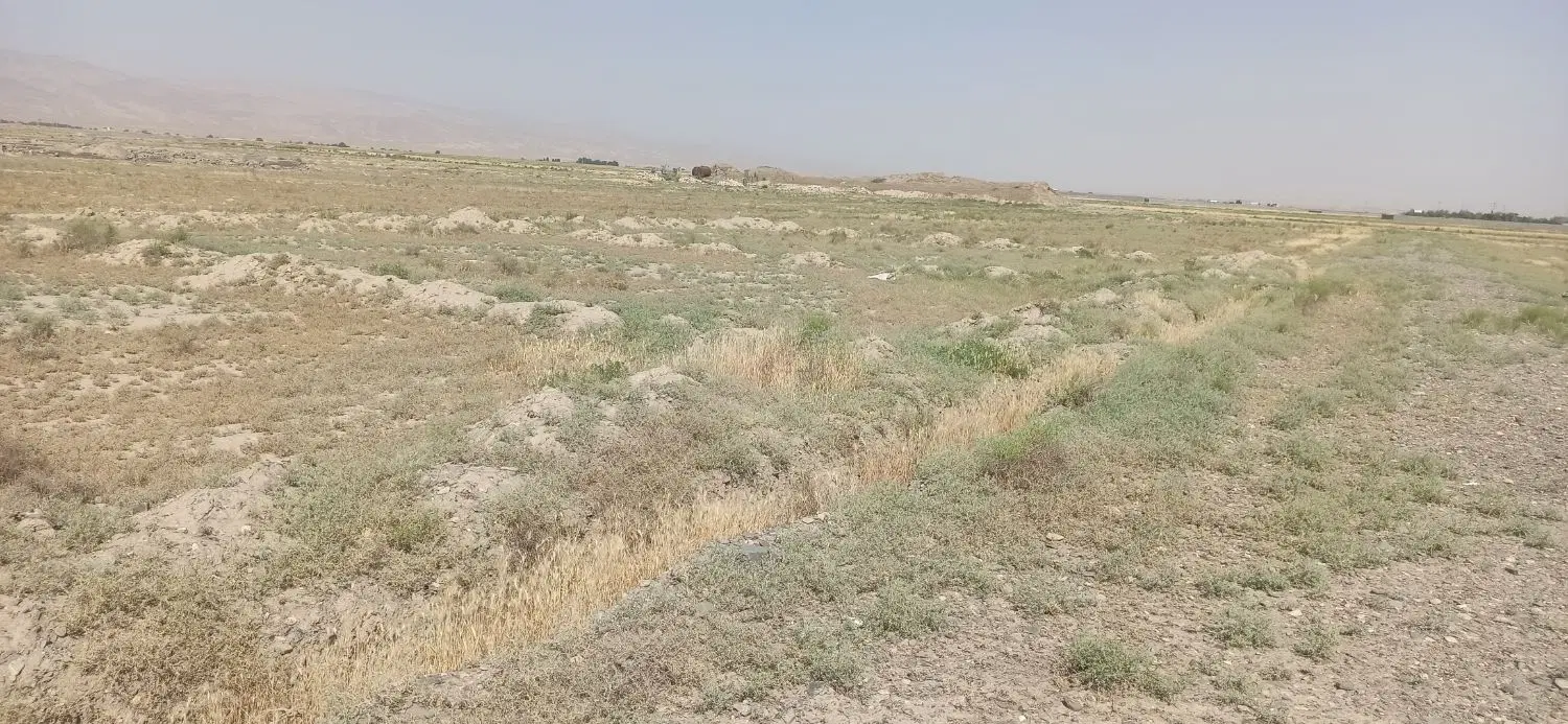 فروش زمین چناران انتهای پردیس ۱۴ سند تک برگ