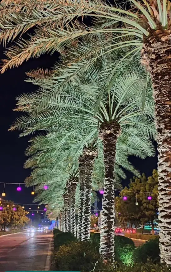 آپارتمان رهنی دو خوابه آبنوس ، چهار راه پژوهش