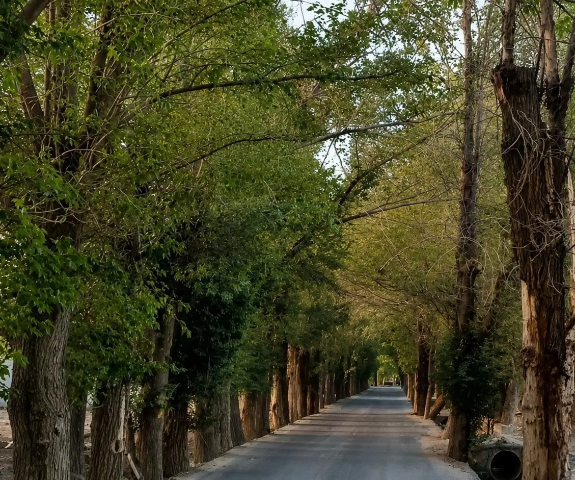 چهاردیواری باغی محدوده خیابان درختی اول اصفهانک