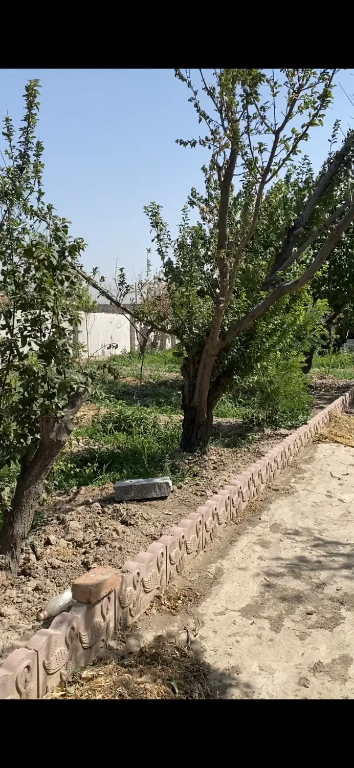 باغچه ویلا