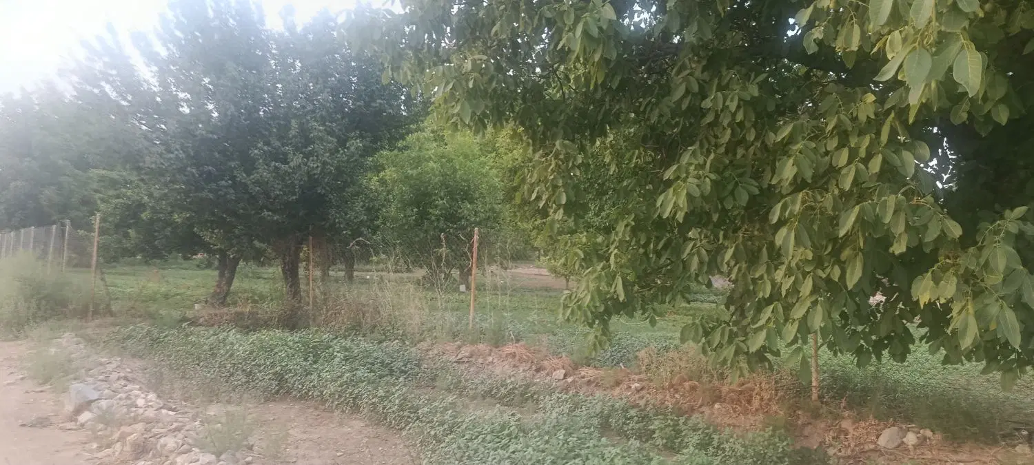 زمین گلشهر